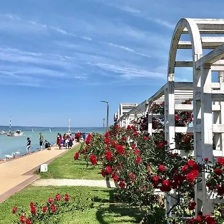 Holyday Relax 펜션